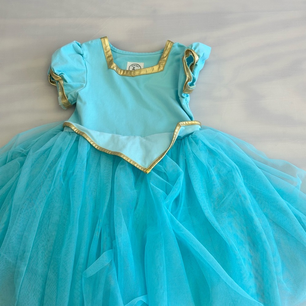 Jasmine inspired Taylor Joelle dress